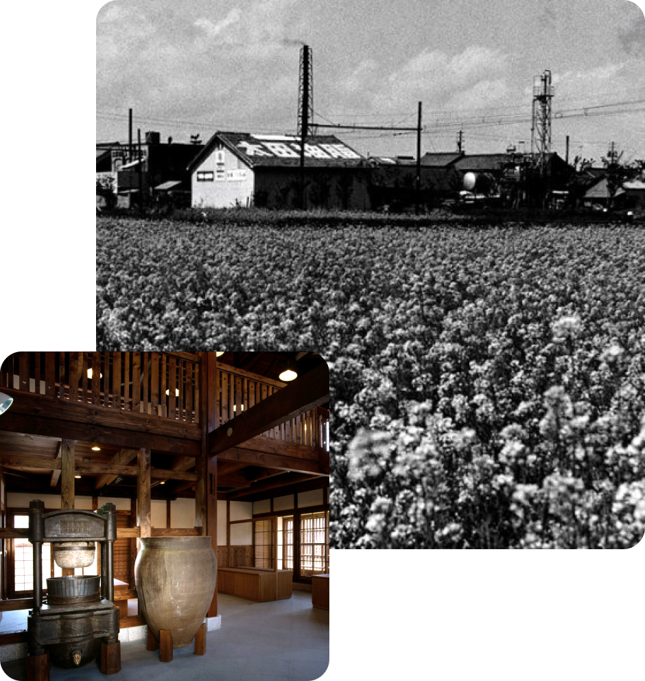 120 years of dedication to oil pressing