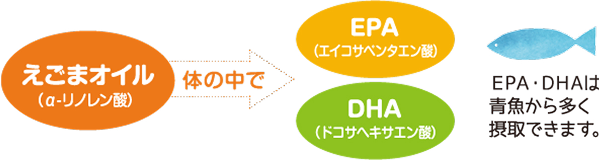 オメガ3脂肪酸とは