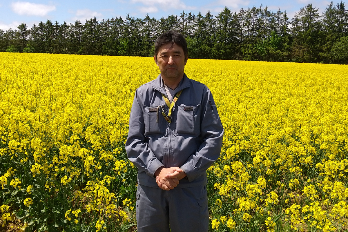 Local producer of rapeseed in Hokkaido