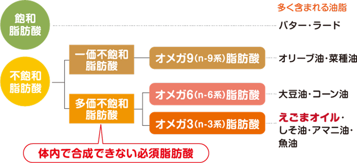 オイルの種類